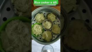 rice cooker a idli making livingwithmrinmoy shortsfeed rice idli southindianfood kolkata food [upl. by Maggy]