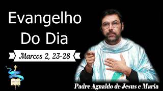 Evangelho do dia 16 de Janeiro de 2024 Marcos 2 23 28 [upl. by Mushro]