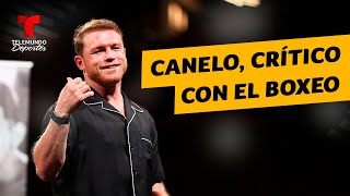 Respuesta de “Canelo” Álvarez al reto de Jake Paul y lo que ha generado  Telemundo Deportes [upl. by Gibbs227]