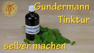 GundermannTinktur selber machen [upl. by Htebaras]