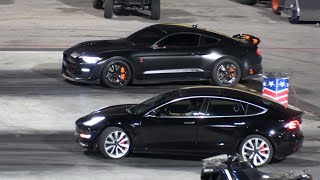 Shelby GT500 vs Tesla [upl. by Aimas349]