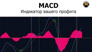 MACD  4 сигнала на Профит  детальное описание и принцип работы [upl. by Irihs983]