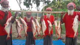 Different Style Pangas Fish Curry  Boiled Fish Gravy Recipe of Grandpa  Food for Special People [upl. by Bello]