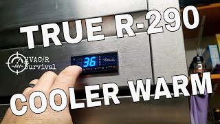 True R290 Cooler Warm [upl. by Aidnis]