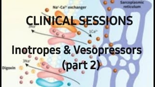 Clinical sessions Inotropes amp Vesopressors  part 2 e  collection [upl. by Gae]