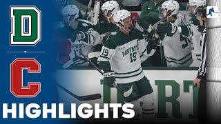 Dartmouth vs Cornell  NCAA College Hockey  Highlights  November 15 2024 [upl. by Nitsir682]