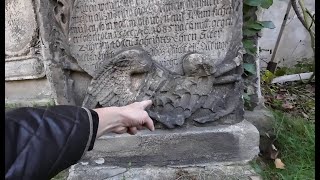 Flughaut und Gefieder  Der TOD und der ZUFALL am Friedhof [upl. by Nossila]