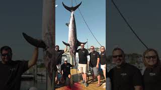 393Pound Swordfish Breaks Maryland Record [upl. by Therese]