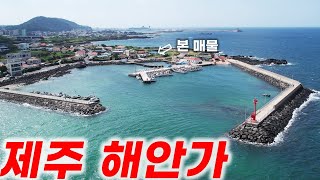 제주도 해안도로 토지 입니다 L311 한국에서도 이런 토지 몇개 없어요 [upl. by Anegroeg]