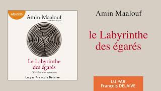 quotLe Labyrinthe des égarésquot dAmin Maalouf lu par François Delaive l Livre audio [upl. by Amalie450]