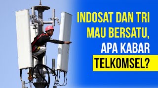 Indosat  Tri Melebur Gimana Kabar Telkomsel dan XL Axiata [upl. by Iviv104]