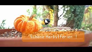 Schöne Herbstferien [upl. by Antipas796]