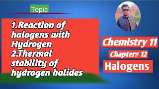 lec2 Reaction of Halogens with hydrogen  Thermal stability of hydrogen halides [upl. by Long]