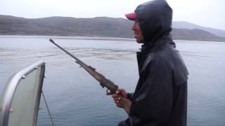 Hunting Seals in Greenland with Knud the Inuit [upl. by Thinia]