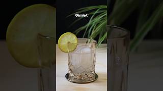 Keep it classic with a Gimlet 🍋🍸cocktail gin gimlet mixology [upl. by Azeria620]