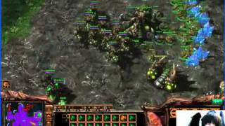 Cella going mass drones  Starcraft 2 [upl. by Yehudit]