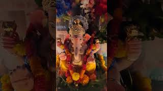 Bham Bham Bole🙏ganeshchaturthi ganesh [upl. by Henrik]