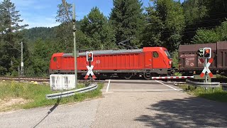 Bahnübergang  Železniční přejezd Unterhippensbach D  682024 [upl. by Jefferey938]