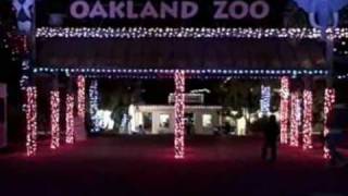 Dec 05 2008  ZooLights [upl. by Munson387]