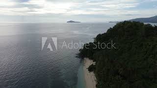 aerial view of the coastline filled with coconut trees [upl. by Helmer517]