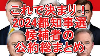 「東京都知事選挙2024候補者の公約徹底比較」石丸伸二 東京を動かそう ナイス投票 東京新時代 政治屋の一掃 ナイス共有 [upl. by Aicilav]