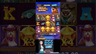 Dog House dog or alive занос заносович заносынедели slot онлайнказино online casino хочуврек [upl. by Leonanie]