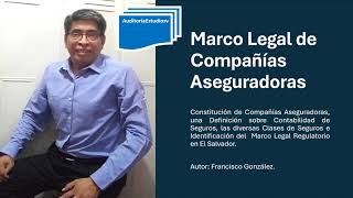 Marco Legal de Compañías Aseguradoras [upl. by Hogarth97]