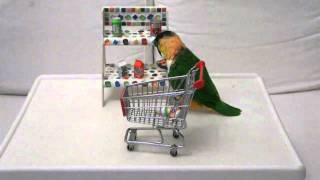 Caique  Shopping at super market [upl. by Aileon]