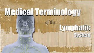 Medical Terminology of the Lymphatic System [upl. by Wixted]