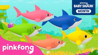 Baby Shark More and More   Compilation  Best Baby Shark Songs for Kids  Pinkfong Official [upl. by Tepper]