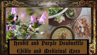 Henbit and Purple Deadnettle [upl. by Alisia]