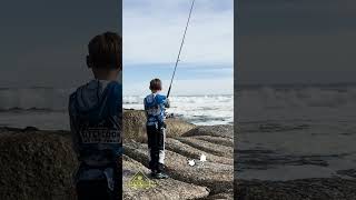 Catching Cape Bream From The Rocks fishing catchandcook capetown [upl. by Roti]