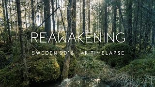 Reawakening Sweden  4K UHD [upl. by Ayekahs736]