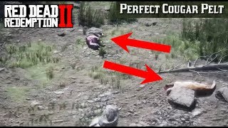 Where To Find a Cougar CONSISTENT SPAWN  Red Dead Redemption Perfect Pelt Location Guide RDR2 [upl. by Eden918]