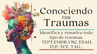 Entendiendo y SANANDO tus traumas  Audiolibro completo [upl. by Yssor]