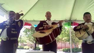 1000 years Mariachi Trio Tradicional de Sacramento 9167125890 [upl. by Lesna441]