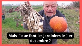 Mais  Que font les jardiniers au 1 er Decembre au jardin [upl. by Nye]