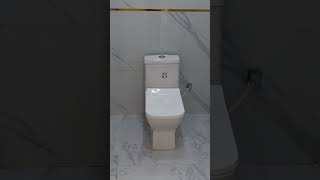 Commode urinal wash basin sink mixer short 🥰 [upl. by Wing859]