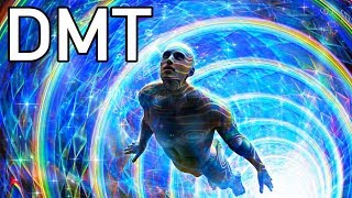 DMT quotBREAKTHROUGHquot 10 Lessons I Learned [upl. by Atinuaj164]