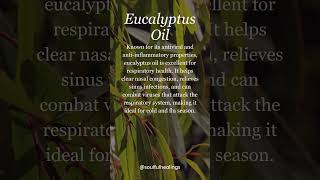 Boost Your Immune System with Eucalyptus Tea Tree amp Oregano Oils [upl. by Eatnuahc]