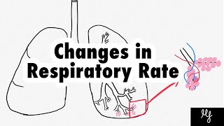 How does respiratory rate change Understand the physiology [upl. by Trebla119]