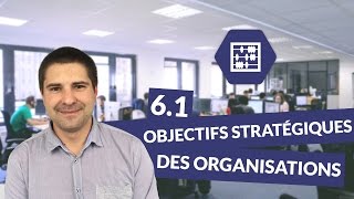 Chapitre 6  Quels sont les objectifs stratégiques des organisations  13  Management Bac STMG [upl. by Graf]