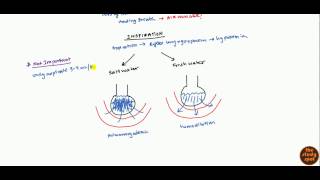 Drowning Pathophysiology and Management for USMLE [upl. by Ardnazxela]