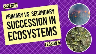 Primary vs Secondary Succession How Ecosystems Recover Over Time [upl. by Aurel477]