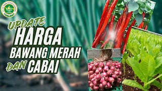 JOSS HARGA BAWANG MERAH DAN UPDATE HARGA CABAI DI BEBERAPA DAERAH  TERBARU HARI INI 13 SEPT 2024 [upl. by Onit459]