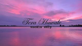 Tera Hawale WithOut Music Vocals OnlyArijit Singh Sound Party [upl. by Claiborne418]