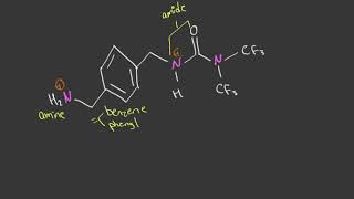 Organic chemistry  Identifying functional groups  ranking basicity practice [upl. by Colner]