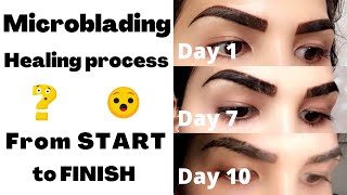 Microblading healing process from start to finish  Eyebrows experience  VLOG [upl. by Keisling349]