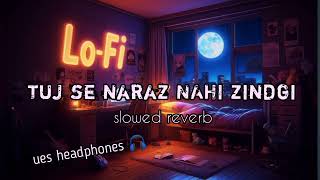 Tuj se naraz NAHI zindgi new slowed reverb and lofi song [upl. by Foushee]