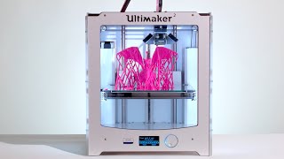 3D Printed Dragon  Ultimaker 3D Printing Timelapse [upl. by Nosyrb750]